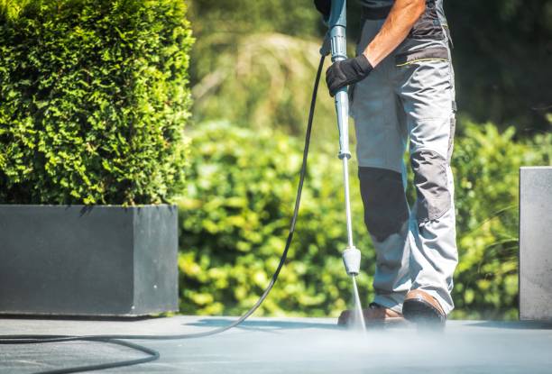Best Solar Panel Cleaning  in Web, AL